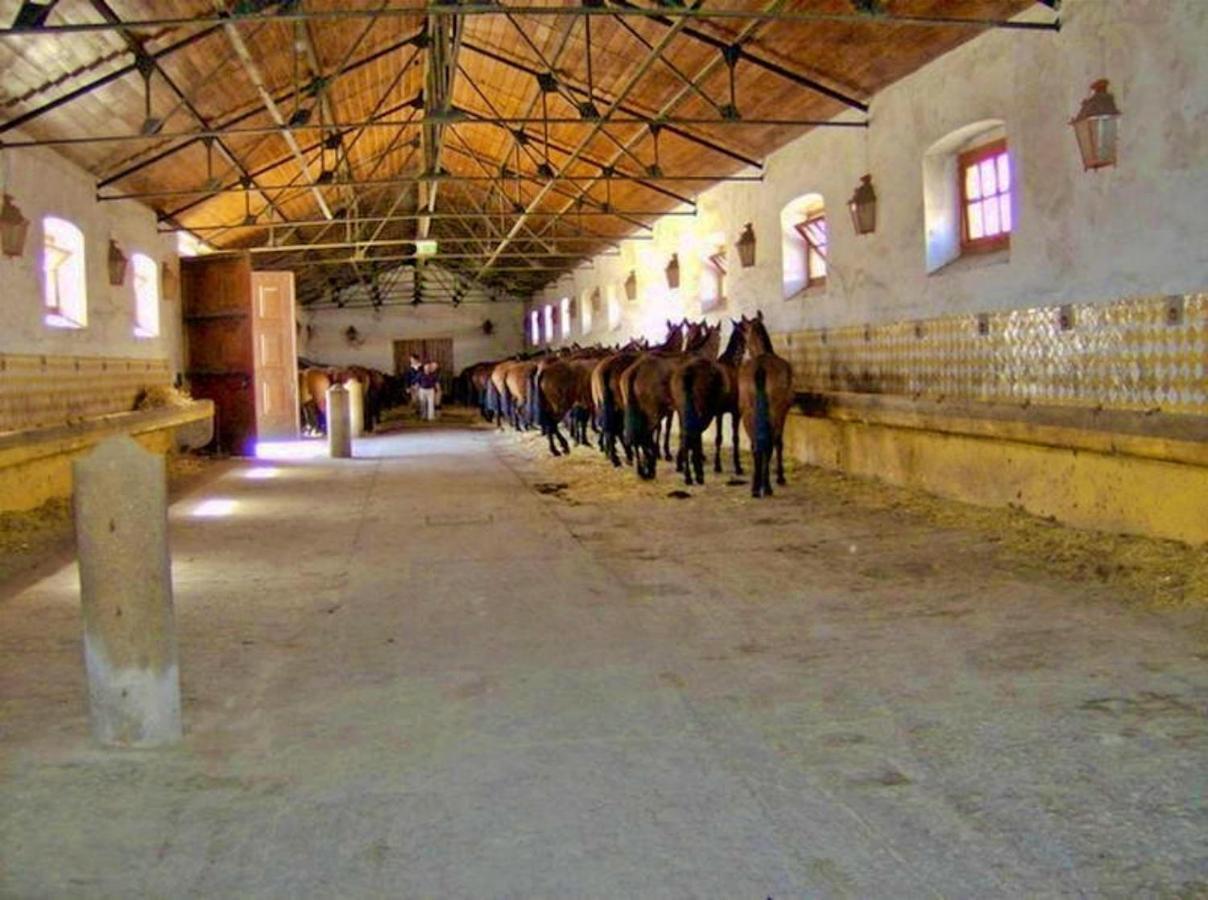 6 Persoons Vakantiewoning Portugal - Casa Do Balao - En - Casa Pequeno Pintor Figueira e Barros Eksteriør billede