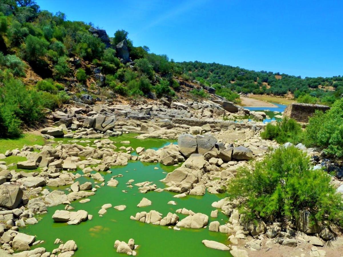 6 Persoons Vakantiewoning Portugal - Casa Do Balao - En - Casa Pequeno Pintor Figueira e Barros Eksteriør billede